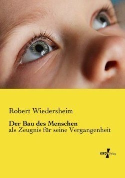 Bau des Menschen