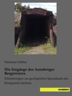 Die Erzgänge des Annaberger Bergrevieres