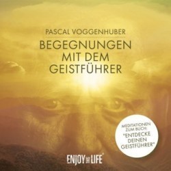 Begegnungen mit dem Geistführer, Audio-CD