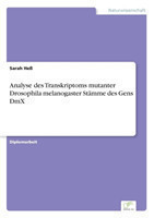 Analyse des Transkriptoms mutanter Drosophila melanogaster Stämme des Gens DmX