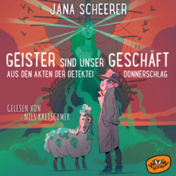 Geister sind unser Geschäft, 1 Audio-CD, MP3, 1 Audio-CD