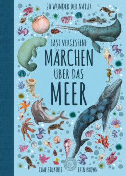 Wunderwelt der Tiere im Meer