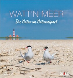 Watt'n Meer Postkartenkalender 2025 - Die Natur im Nationalpark