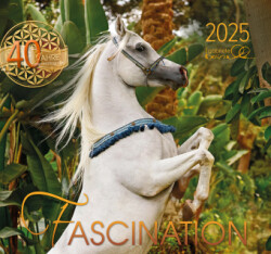 Fascination 2025, m. 1 Beilage