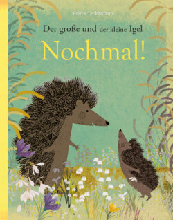 Der große und der kleine Igel / Nochmal!