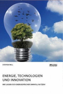 Energie, Technologien und Innovation. Wie lassen sich Energiespeicher sinnvoll nutzen?