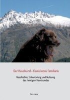 Haushund - Canis lupus familiaris