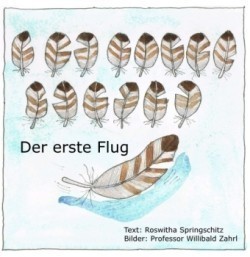 Der erste Flug