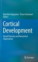 Cortical Development