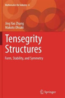 Tensegrity Structures