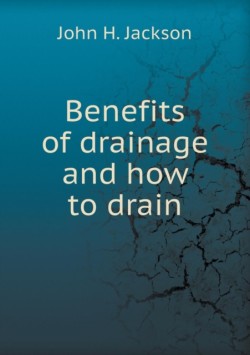 Benefits of Drainage and How to Drain