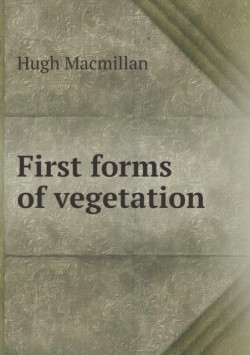 First Forms of Vegetation