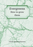 Evergreens How to Grow Them