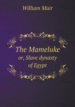 Mameluke or, Slave dynasty of Egypt