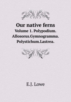 Our native ferns Volume 1. Polypodium.Allosorus.Gymnogramma.Polystichum.Lastrea.