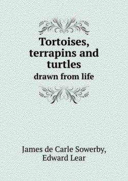 Tortoises, terrapins and turtles drawn from life