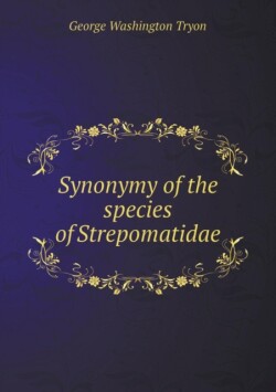 Synonymy of the Species of Strepomatidae