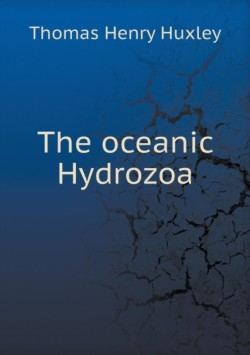 oceanic Hydrozoa