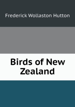 Birds of New Zealand