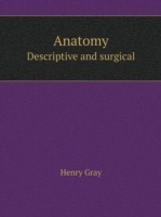 Anatomy Descriptive and surgical