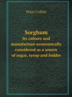 Sorghum Its culture and manufacture economically considered as a source of sugar, syrup and fodder