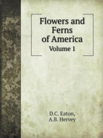 Flowers and Ferns of America Volume 1