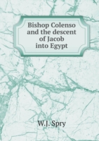 Bishop Colenso and the descent of Jacob into Egypt