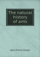 natural history of ants