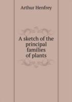 sketch of the principal families of plants