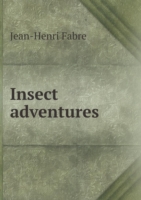 Insect adventures