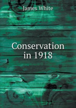 Conservation in 1918