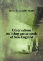 Observations on living gasteropods of New England