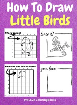 How To Draw Little Birds