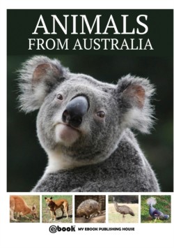 Animals from Australia