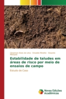 Estabilidade de taludes em áreas de risco por meio de ensaios de campo