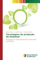 Tecnologias de produção de biodiesel