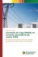 Corrosão da Liga 800GN no circuito secundário de reator PWR