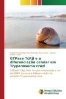 GTPase TcRjl e a diferenciação celular em Trypanosoma cruzi