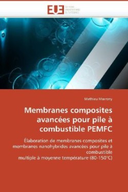 Membranes composites avancees pour pile a combustible pemfc