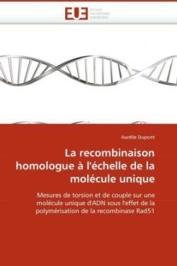 recombinaison homologue à l''échelle de la molécule unique