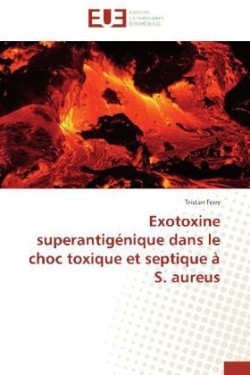 Exotoxine superantigenique dans le choc toxique et septique a s. aureus