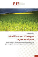 Modelisation d''images agronomiques