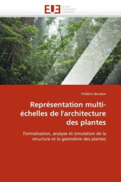 Representation multi-echelles de l'architecture des plantes