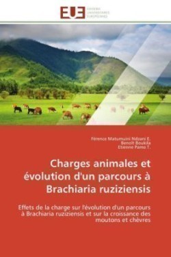 Charges Animales Et Évolution d'Un Parcours À Brachiaria Ruziziensis