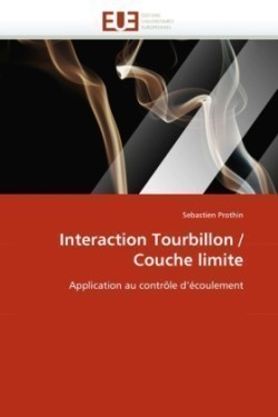 Interaction tourbillon / couche limite