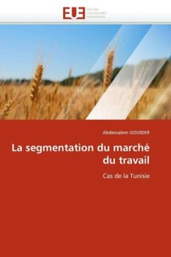 segmentation du marche du travail