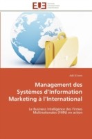 Management des systèmes d information marketing à l international
