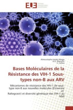 Bases moleculaires de la resistance des vih-1 sous-types non-b aux arv