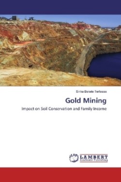 Gold Mining