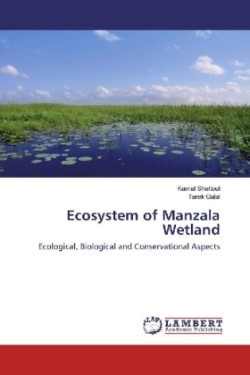 Ecosystem of Manzala Wetland